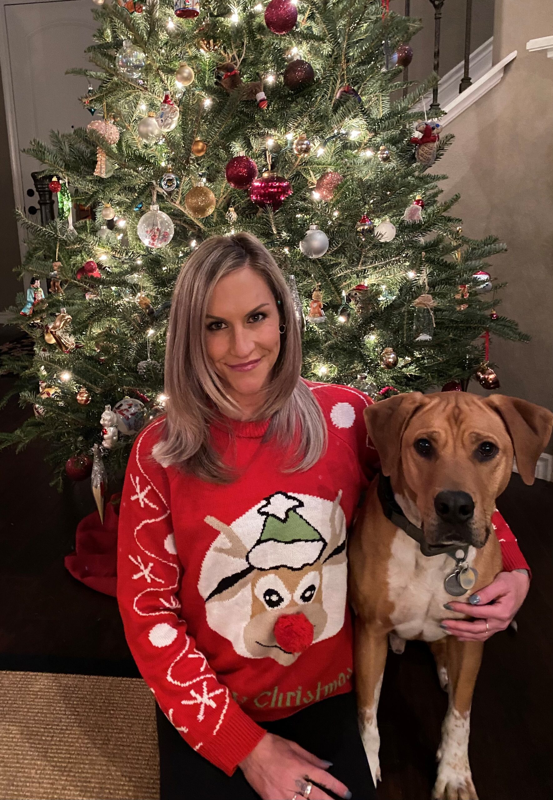 About - Mill Creek Animal Hospital